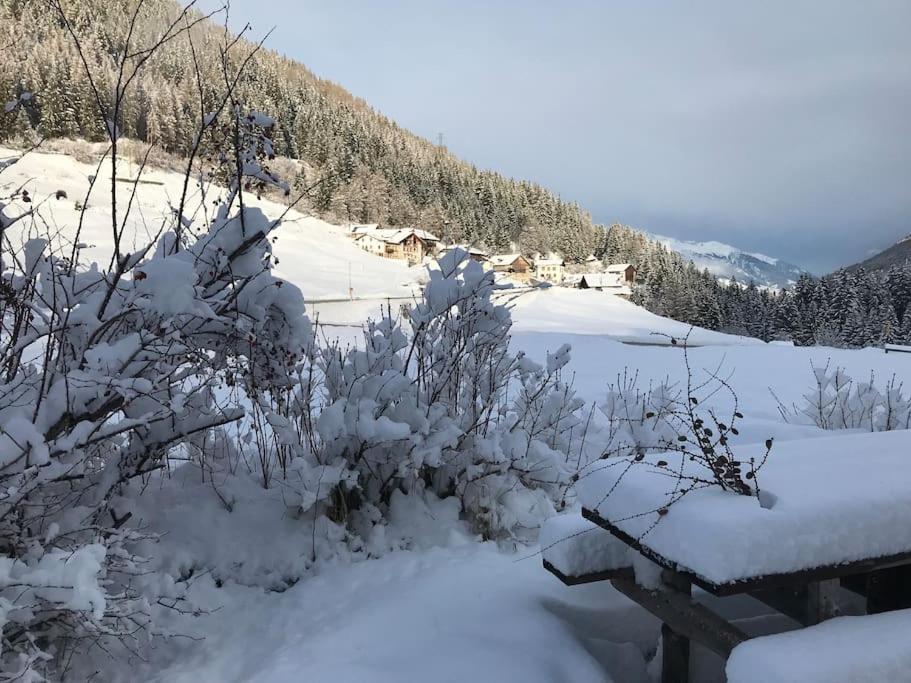 Chalet Rustico Bertolini Per Gruppi! Villa Vermiglio Exterior foto